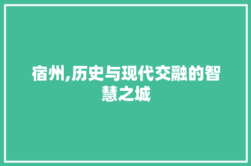 宿州,历史与现代交融的智慧之城