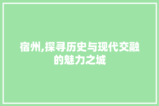 宿州,探寻历史与现代交融的魅力之城