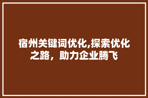 宿州关键词优化,探索优化之路，助力企业腾飞