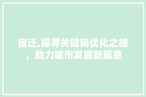 宿迁,探寻关键词优化之路，助力城市发展新篇章