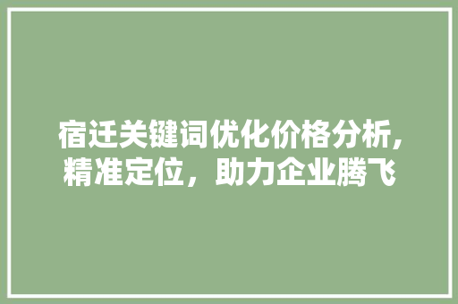 宿迁关键词优化价格分析,精准定位，助力企业腾飞