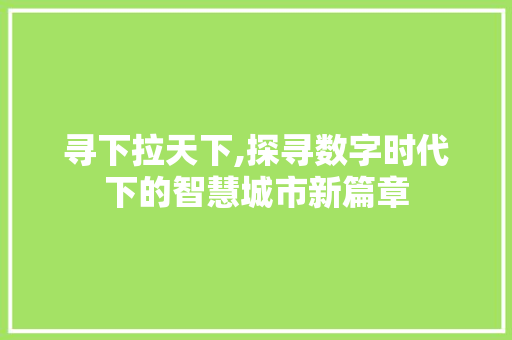 寻下拉天下,探寻数字时代下的智慧城市新篇章