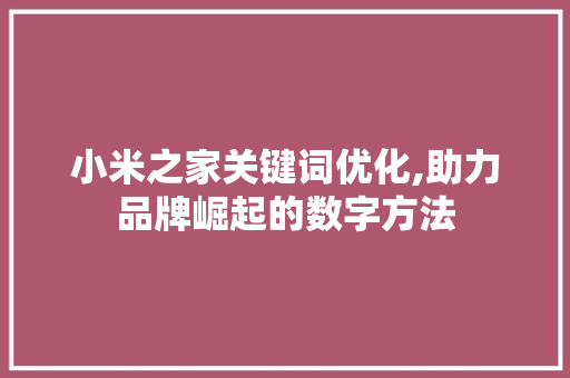 小米之家关键词优化,助力品牌崛起的数字方法