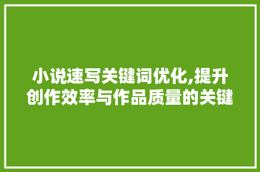 小说速写关键词优化,提升创作效率与作品质量的关键方法