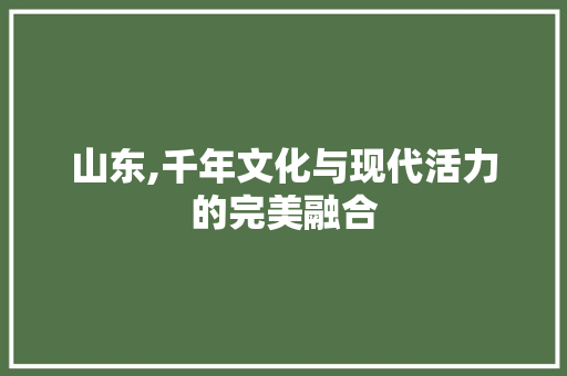 山东,千年文化与现代活力的完美融合