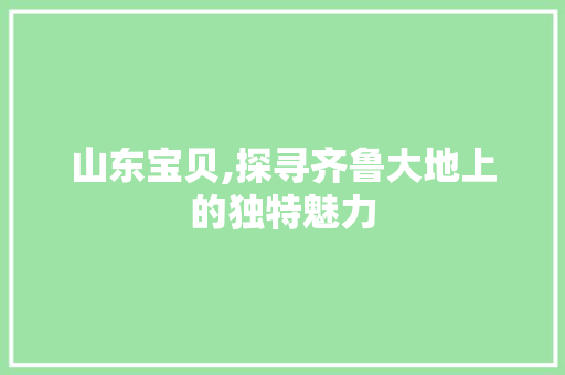 山东宝贝,探寻齐鲁大地上的独特魅力