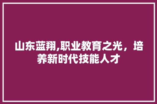 山东蓝翔,职业教育之光，培养新时代技能人才