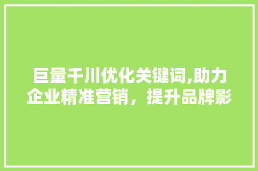 巨量千川优化关键词,助力企业精准营销，提升品牌影响力
