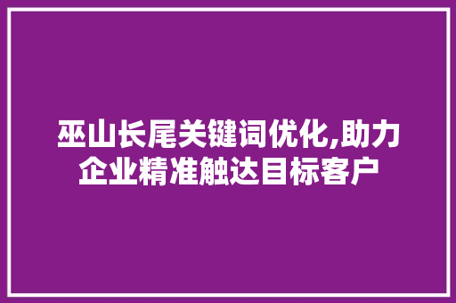巫山长尾关键词优化,助力企业精准触达目标客户