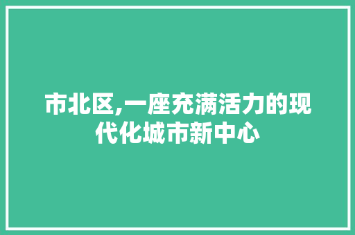 市北区,一座充满活力的现代化城市新中心