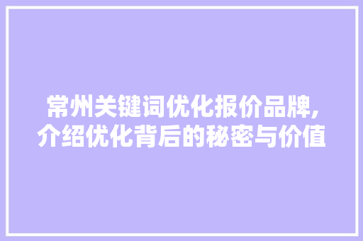 常州关键词优化报价品牌,介绍优化背后的秘密与价值