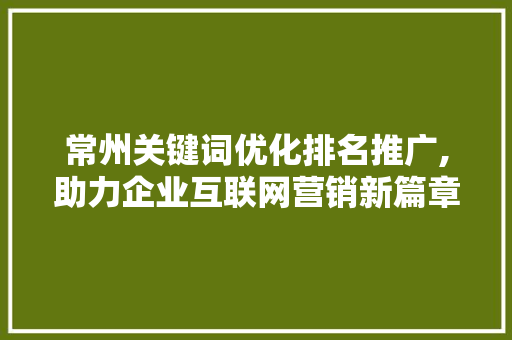 常州关键词优化排名推广,助力企业互联网营销新篇章
