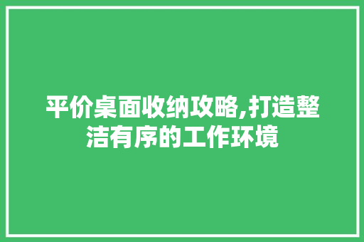 平价桌面收纳攻略,打造整洁有序的工作环境