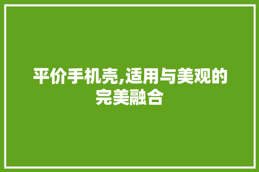 平价手机壳,适用与美观的完美融合