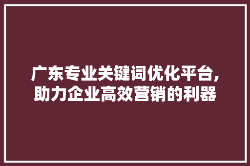 广东专业关键词优化平台,助力企业高效营销的利器