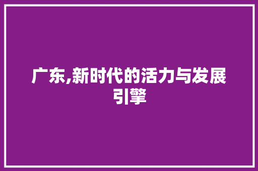 广东,新时代的活力与发展引擎
