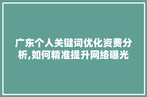 广东个人关键词优化资费分析,如何精准提升网络曝光率