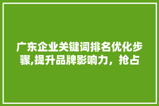 广东企业关键词排名优化步骤,提升品牌影响力，抢占市场先机 市场营销范文