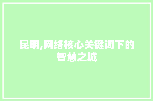 昆明,网络核心关键词下的智慧之城