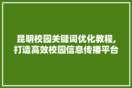 昆明校园关键词优化教程,打造高效校园信息传播平台