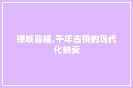 禅城容桂,千年古镇的现代化蜕变