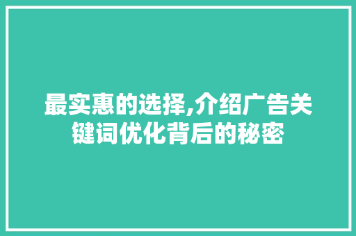 最实惠的选择,介绍广告关键词优化背后的秘密