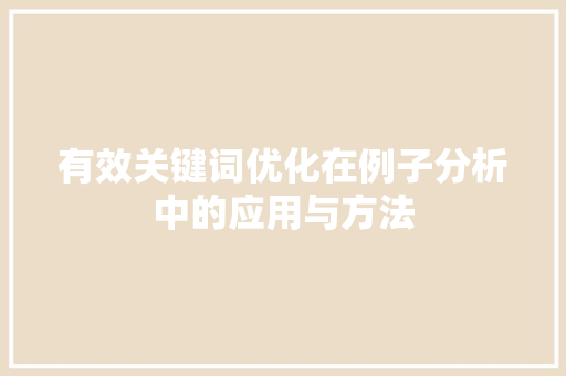 有效关键词优化在例子分析中的应用与方法