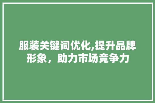 服装关键词优化,提升品牌形象，助力市场竞争力