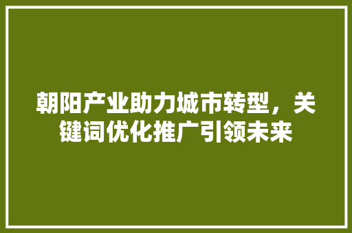 朝阳产业助力城市转型，关键词优化推广引领未来