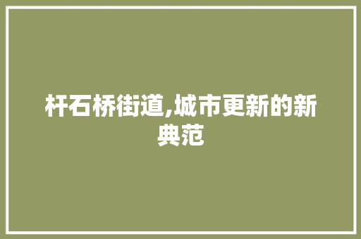 杆石桥街道,城市更新的新典范