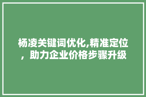 杨凌关键词优化,精准定位，助力企业价格步骤升级