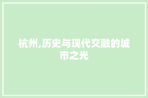 杭州,历史与现代交融的城市之光