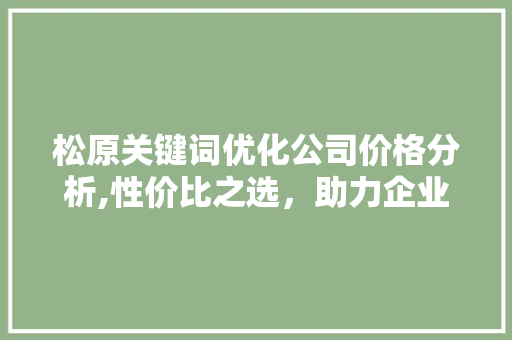 松原关键词优化公司价格分析,性价比之选，助力企业腾飞