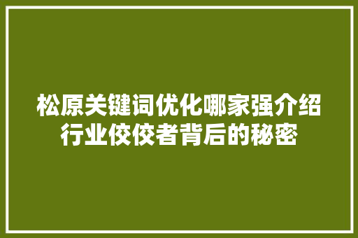 松原关键词优化哪家强介绍行业佼佼者背后的秘密