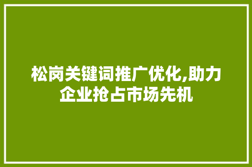 松岗关键词推广优化,助力企业抢占市场先机
