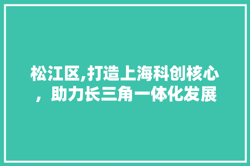 松江区,打造上海科创核心，助力长三角一体化发展