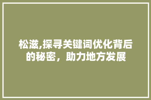 松滋,探寻关键词优化背后的秘密，助力地方发展