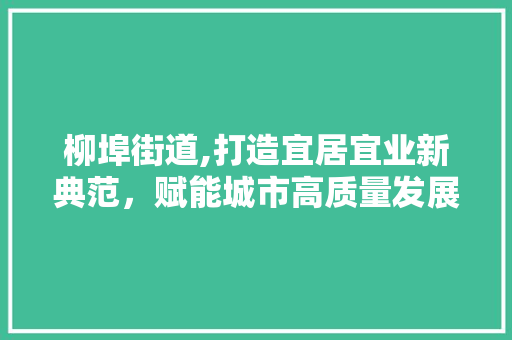 柳埠街道,打造宜居宜业新典范，赋能城市高质量发展