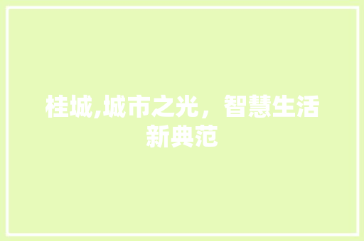 桂城,城市之光，智慧生活新典范