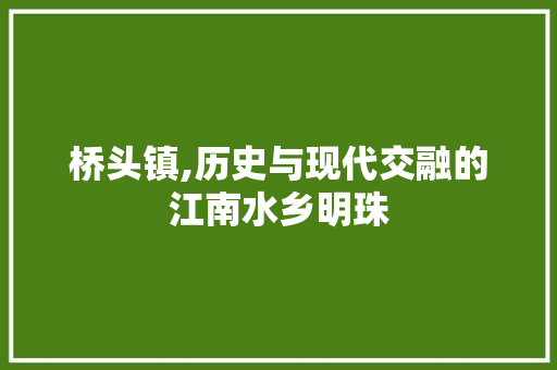 桥头镇,历史与现代交融的江南水乡明珠
