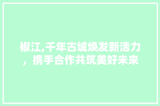 椒江,千年古城焕发新活力，携手合作共筑美好未来