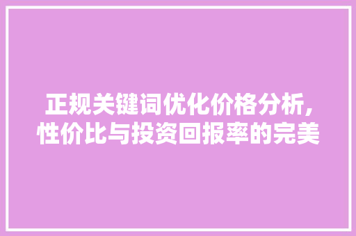 正规关键词优化价格分析,性价比与投资回报率的完美结合