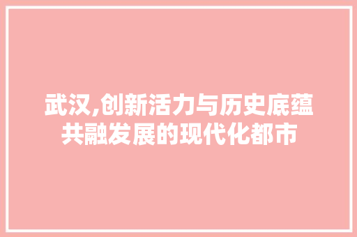 武汉,创新活力与历史底蕴共融发展的现代化都市