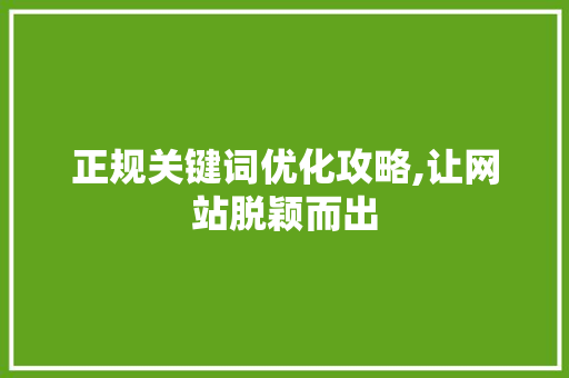 正规关键词优化攻略,让网站脱颖而出 网站建设