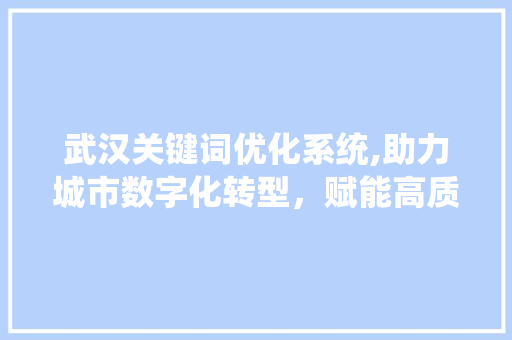 武汉关键词优化系统,助力城市数字化转型，赋能高质量发展