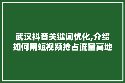 武汉抖音关键词优化,介绍如何用短视频抢占流量高地