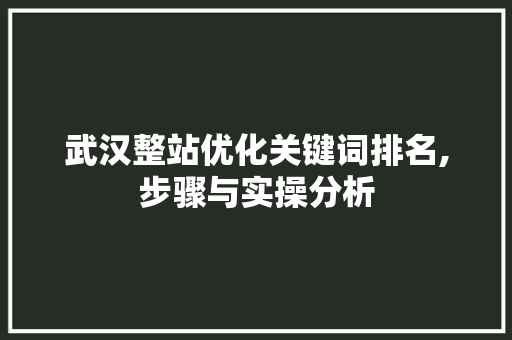 武汉整站优化关键词排名,步骤与实操分析