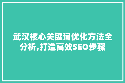 武汉核心关键词优化方法全分析,打造高效SEO步骤 网站建设