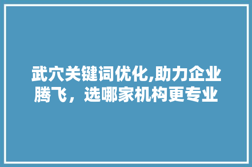 武穴关键词优化,助力企业腾飞，选哪家机构更专业