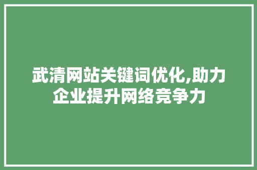 武清网站关键词优化,助力企业提升网络竞争力